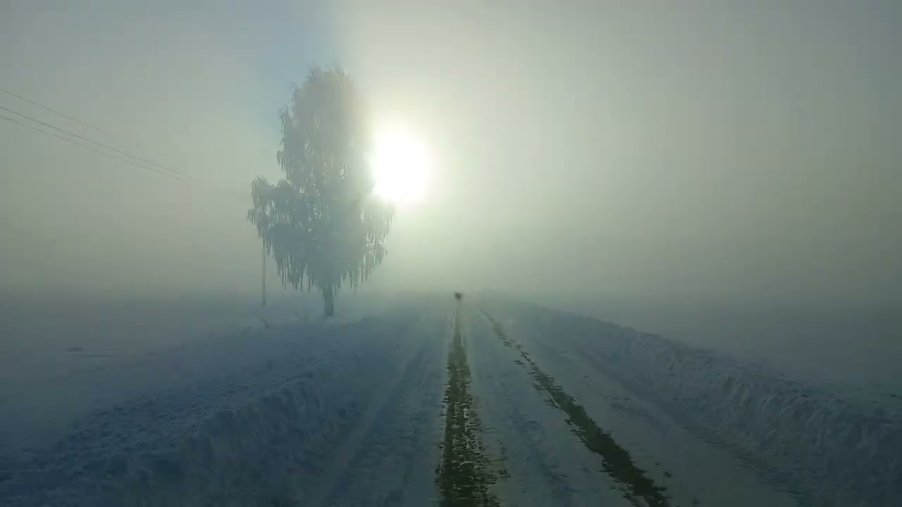 -55 C'  KAPUT DIESEL