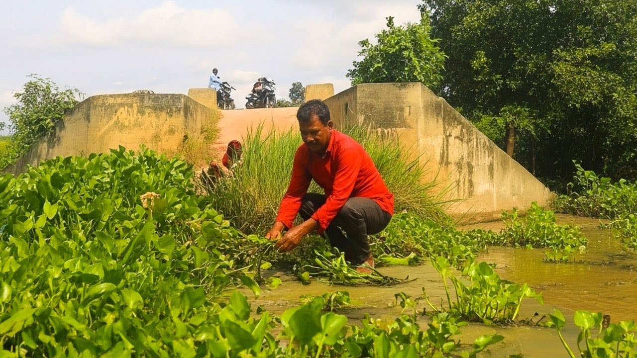 Massive Clogged !!! Mission Remove Floating Plants Clogged Water Gate On Dam