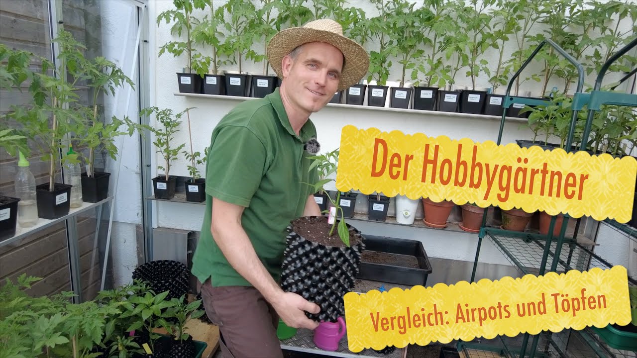 Superroot Air-Pots vs. Standardt&ouml;pfe &ndash; sichtbarer Unterschied beim Pflanzenwachstum 🌱 Vergleich