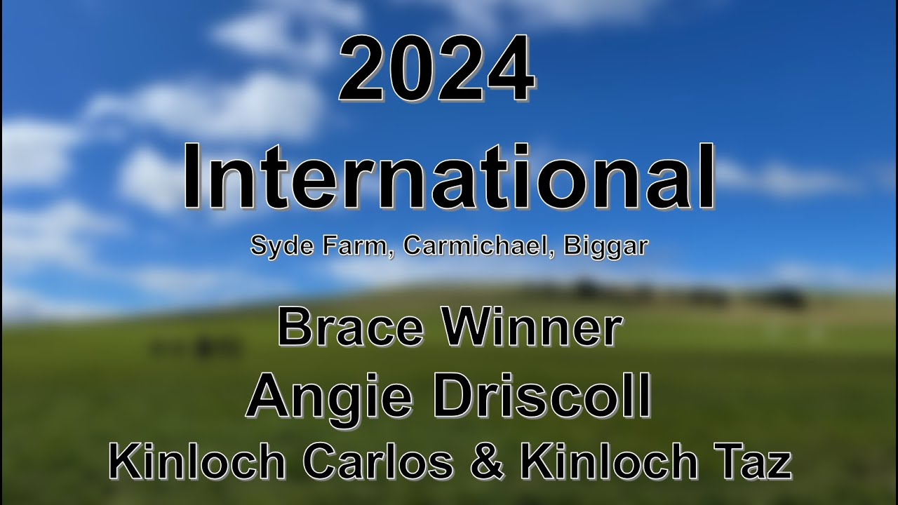 Angie Driscoll - Kinloch Carlos & Kinloch Taz - 2024 International Sheep Dog Trials Brace Winner