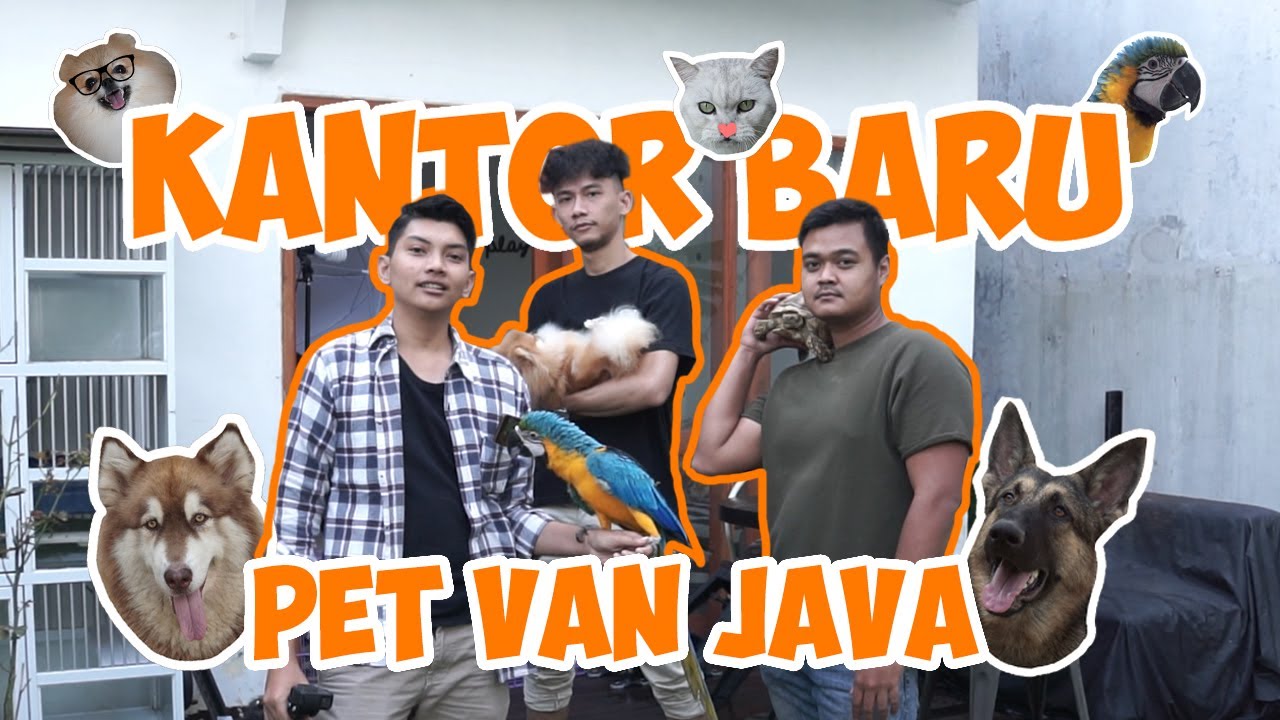 PENUH DENGAN BINATANG !! KANTOR BARU PET VAN JAVA