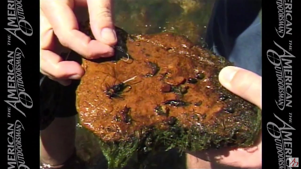 Match the Hatch in Fly Fishing