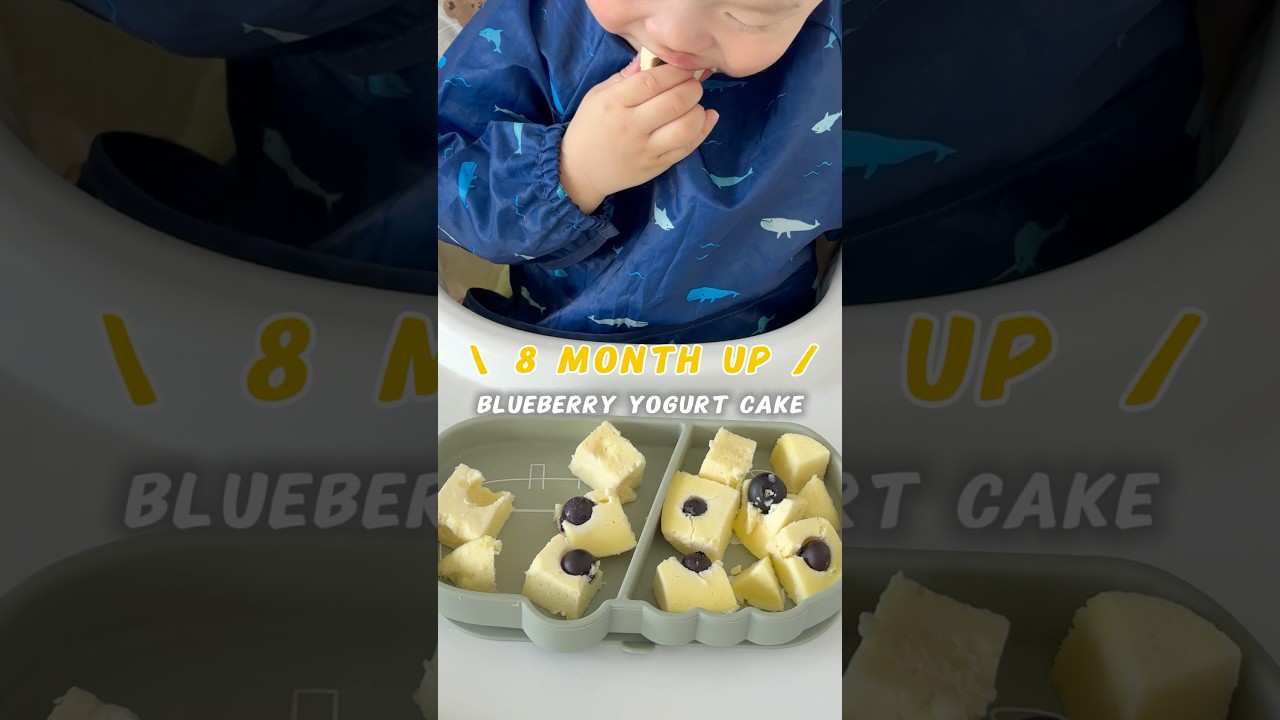 Blueberry Yogurt Cake &ndash; Baby-Friendly & So Fluffy! 👶💙 #babyfood #cake #recipe #blw