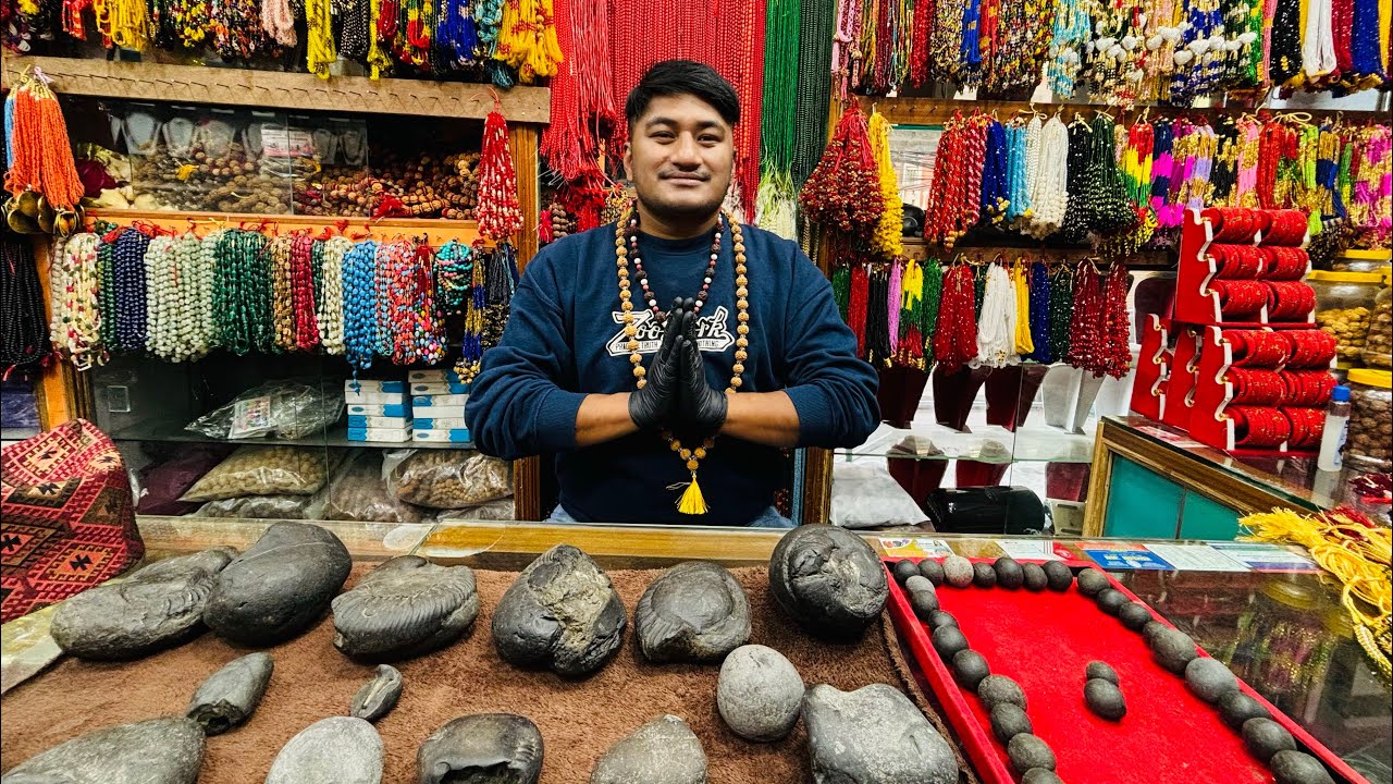 Shaligram Stone (gandaki river shaligram, find on kali gandaki river,nepal)
