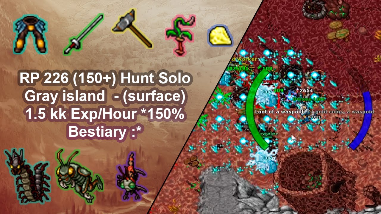 Tibia Royal Paladin 226 (150+) Solo Hunt /Gray island (surface) / 1.5kkExp/Hour 150% Bestiary :*