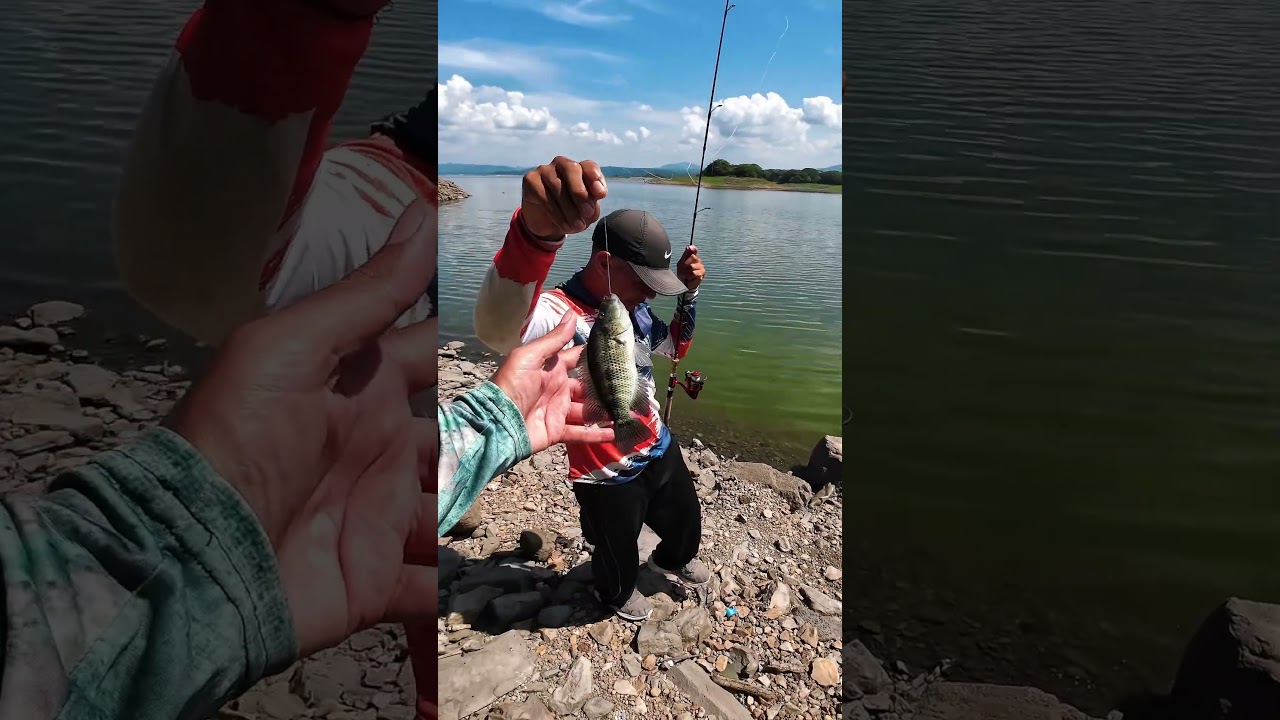 Pescamos Doblete de Guapotes en el Lago 