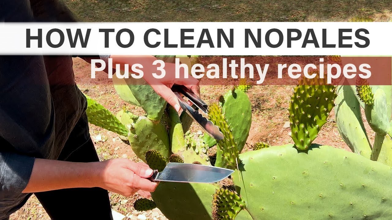 Unlock the Secrets to Cleaning Nopales (Cactus) Like a Pro!