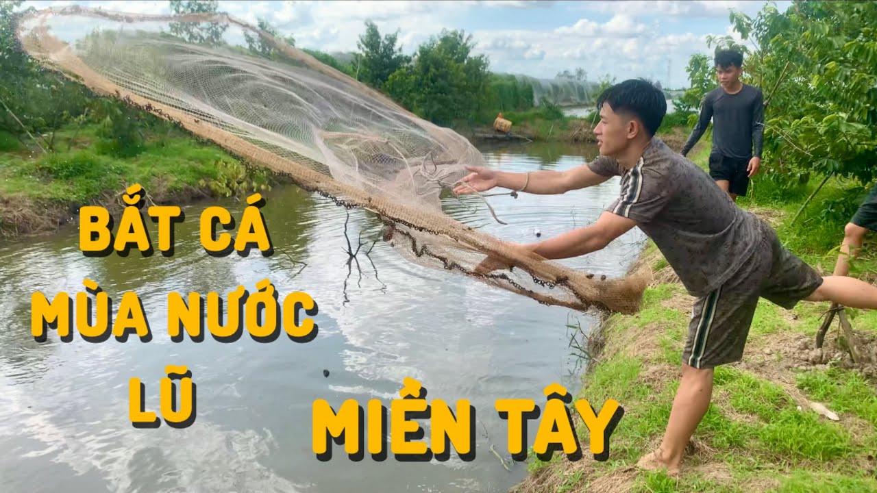 Vlog thực tế của người dân miền Tây #nguyenninhvlog 