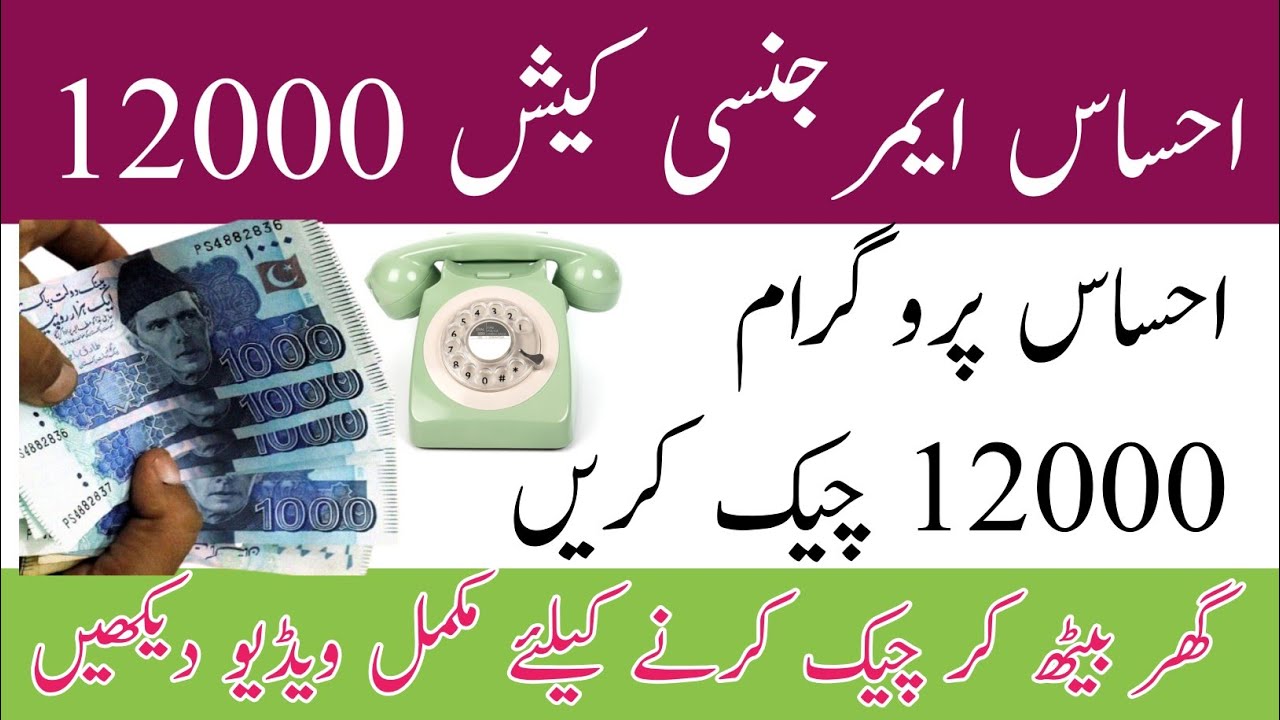 How To Check Ehsas Program 12000 On Call || How To Check Kafalat Card 12000 And BISP 12000 On Call