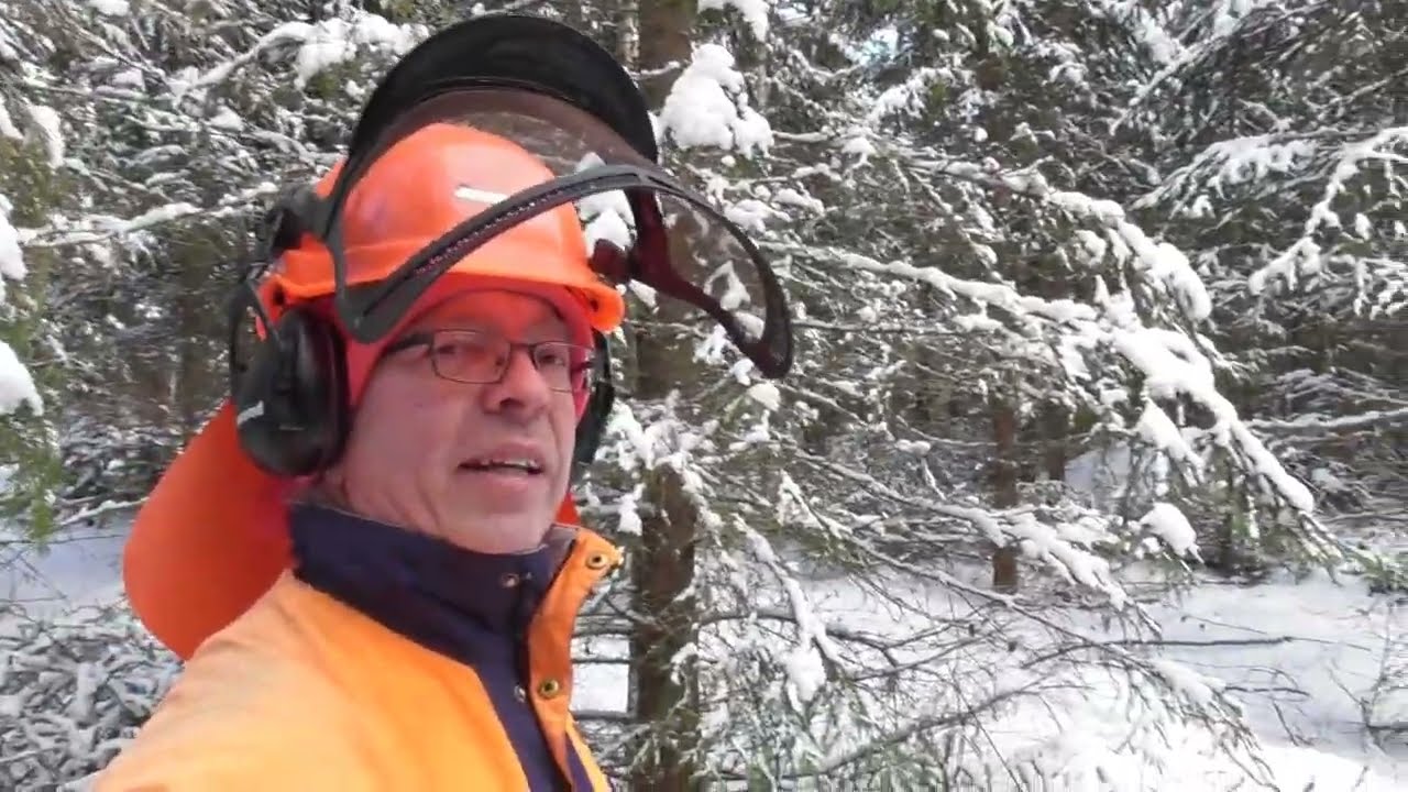 Helmikuun hakkuilla
