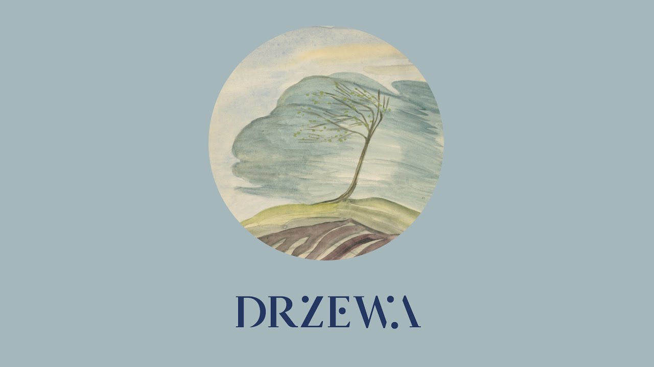 Mela Koteluk & Kwadrofonik - Drzewa (Official Audio)
