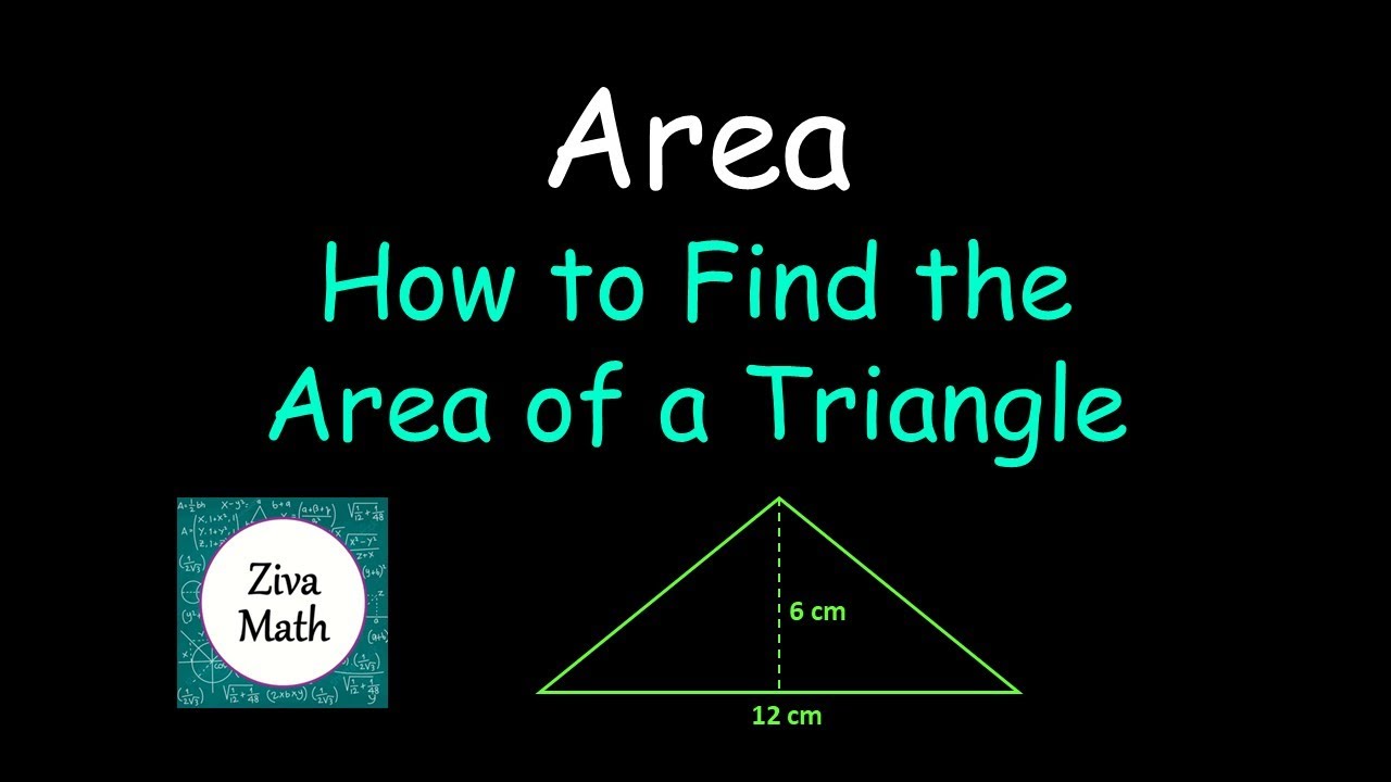 How to Find the Area of a Triangle | Area