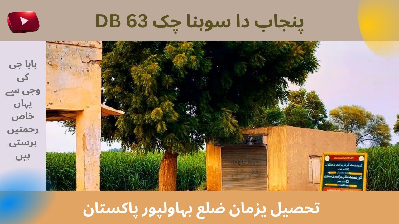 Chak 63 DB Tehsil Yazman District Bahawalpur visit | چک 63 تحصیل یزمان ضلع بہاولپور کی سیر