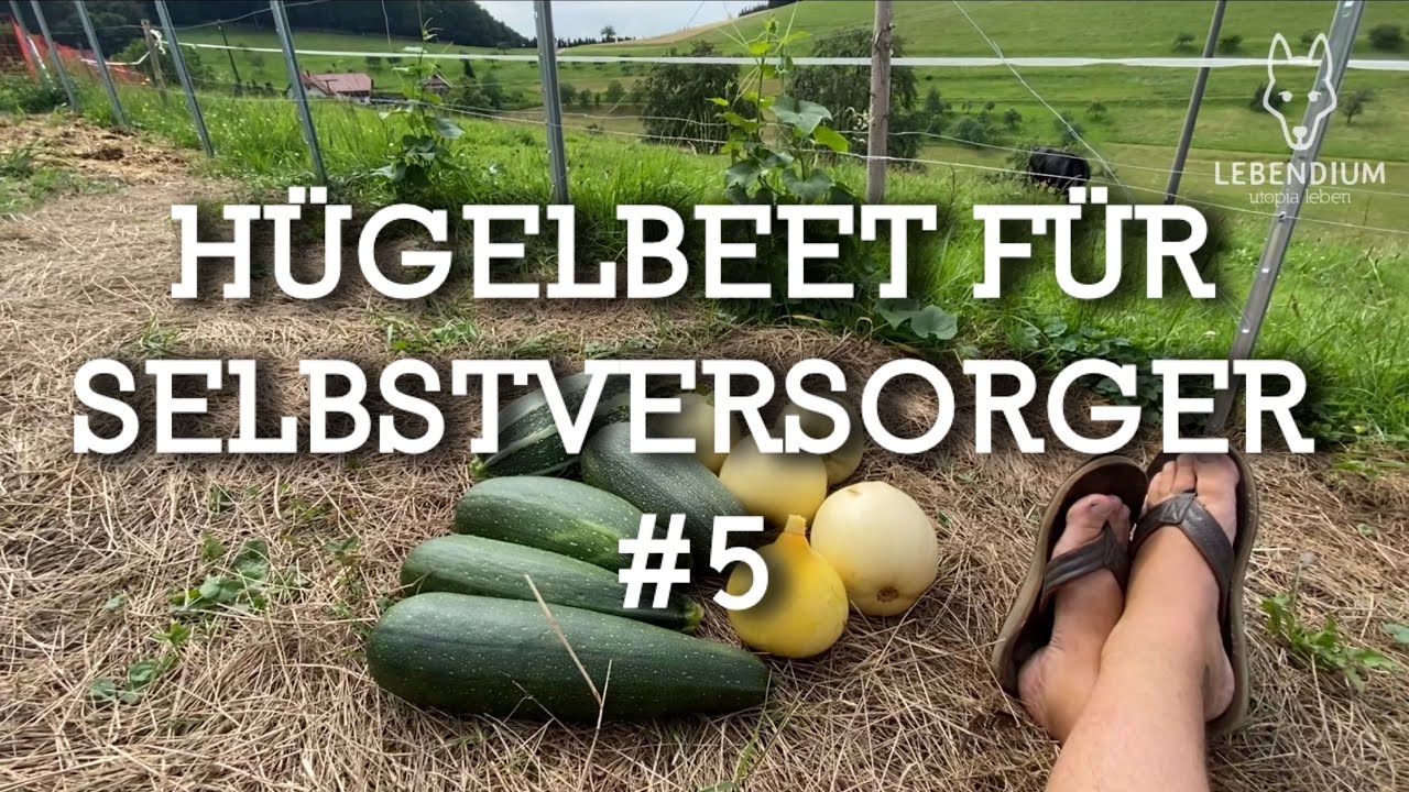 LEBENDIUM - Hügelbeet für Selbstversorger #5 - Entdecken und ernten