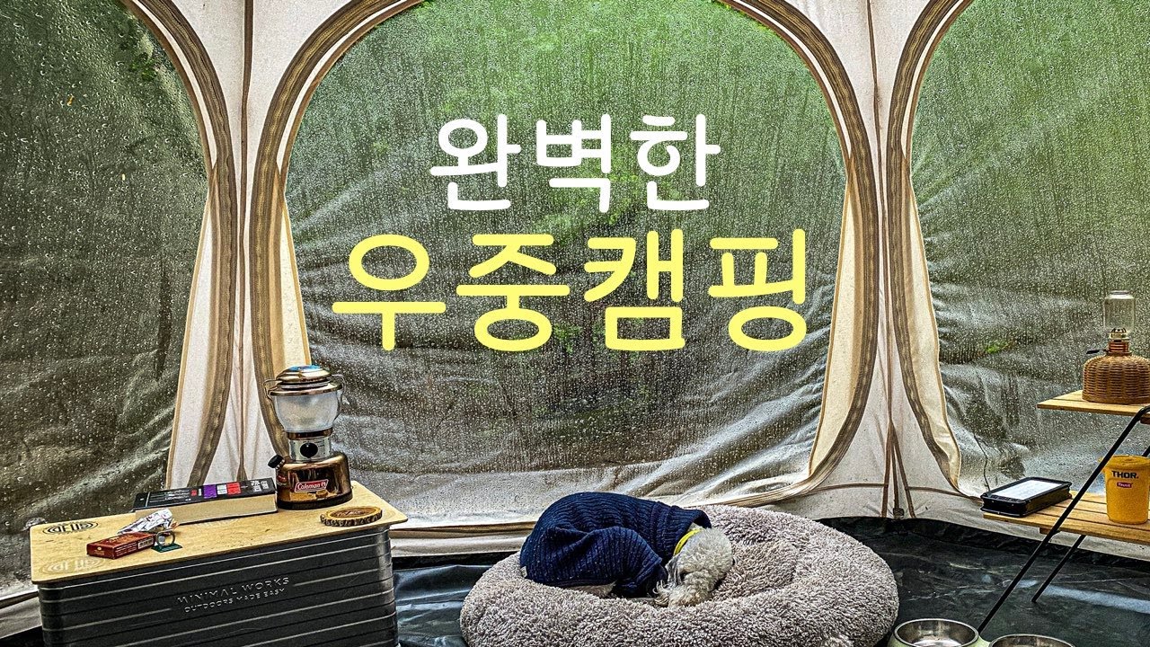 아무도 없는 계곡, 강아지 그리고 우중캠핑