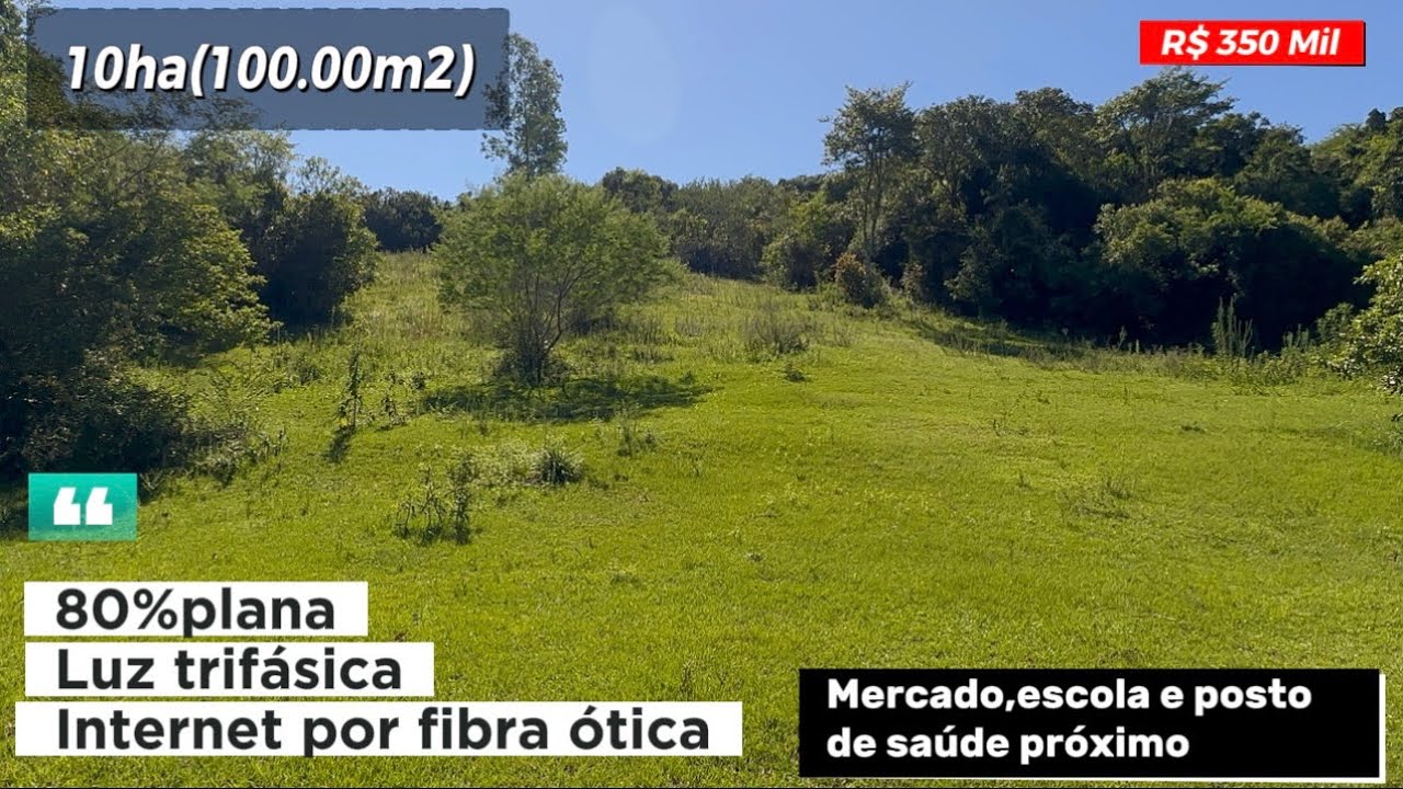Chácara 10ha plana a 8km da RS 020