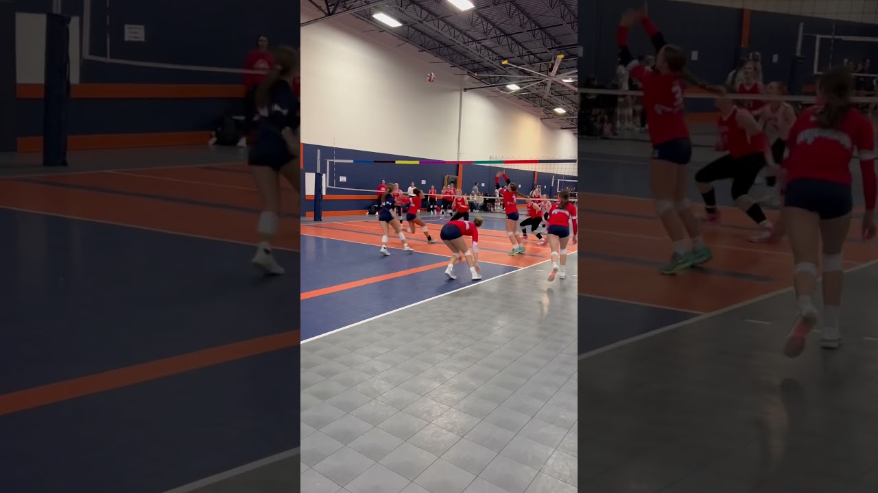 #Volleyball Dolphin Dive Dig!