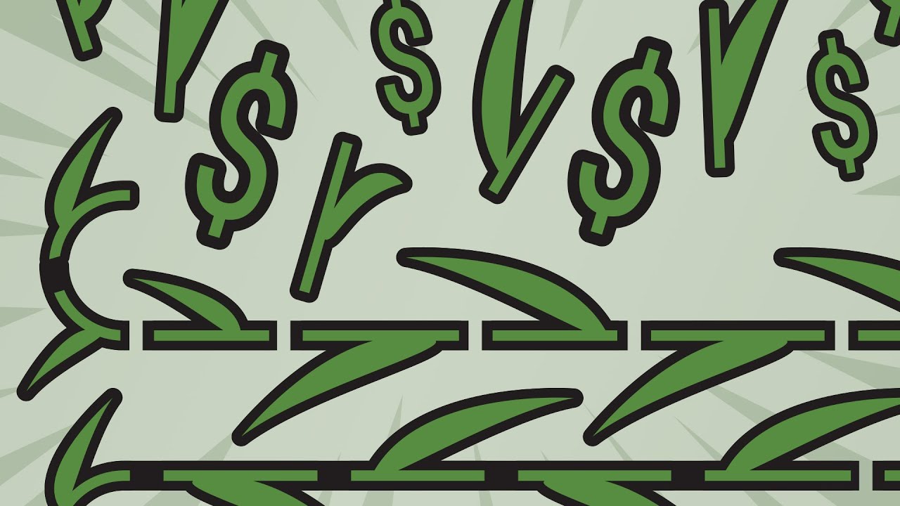 How to cut Nepenthes vines and make a lot of cuttings to sell them later