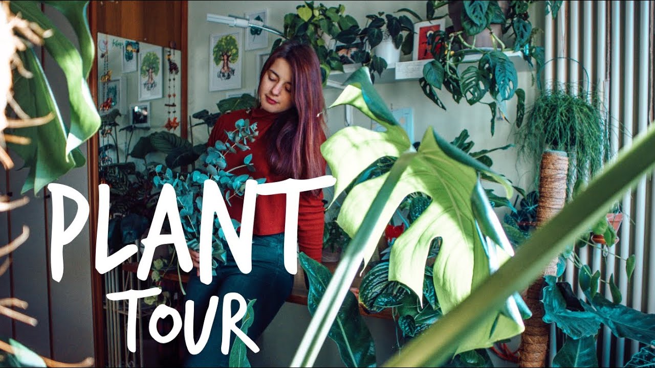 PLANT TOUR🌿Gennaio 2020