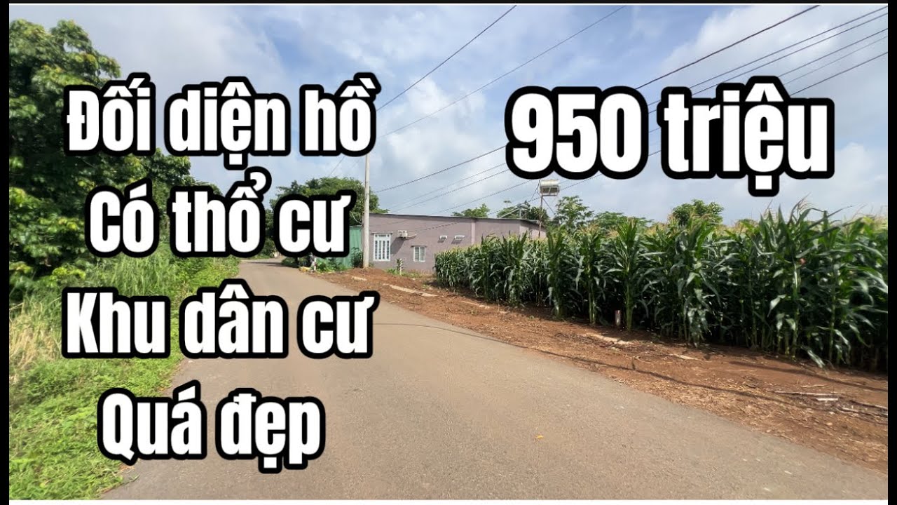Cần tiền Anh Phát nhượng lại đất vườn gần hồ Kim Long, vị trí đường xá đẹp sẵn thổ cư ở TP HCM