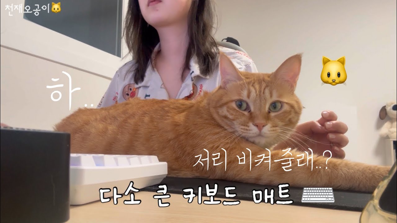 귀엽지만 불편한 키보드 매트 ⌨️🐱 구경오세요 🤭