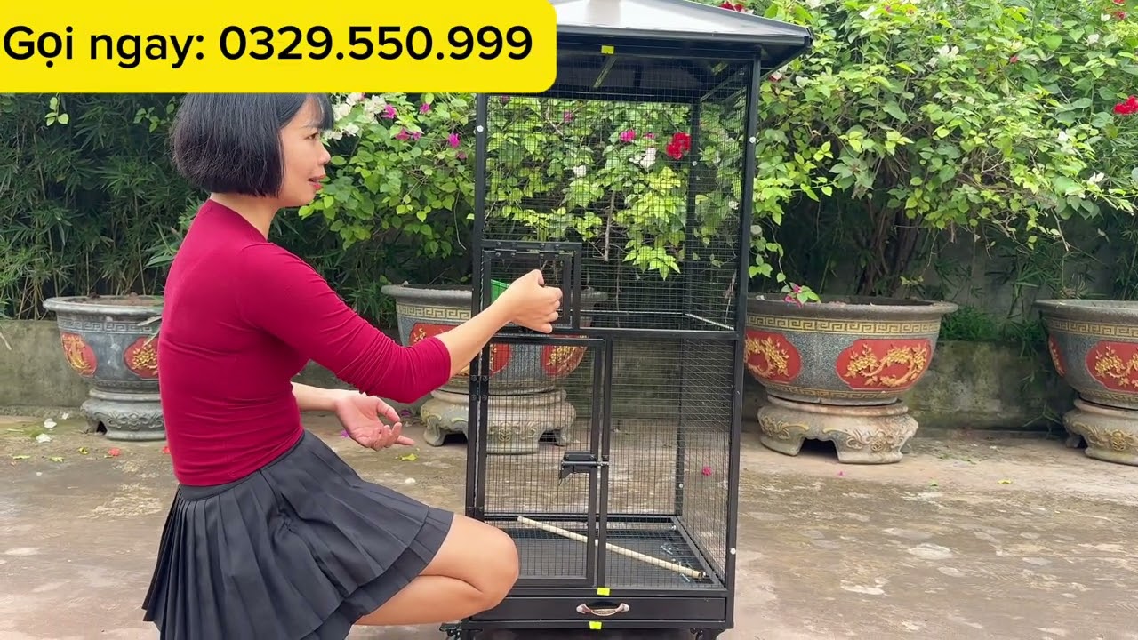 Mẫu avi rẻ nhất, đẹp nhất bán chạy nhất