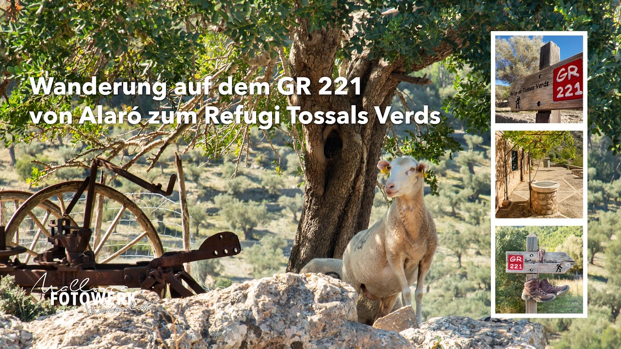 Wanderung auf dem GR 221 – von Alaró zum Refugio Tossals Verds | Mallorca mit Lost Place