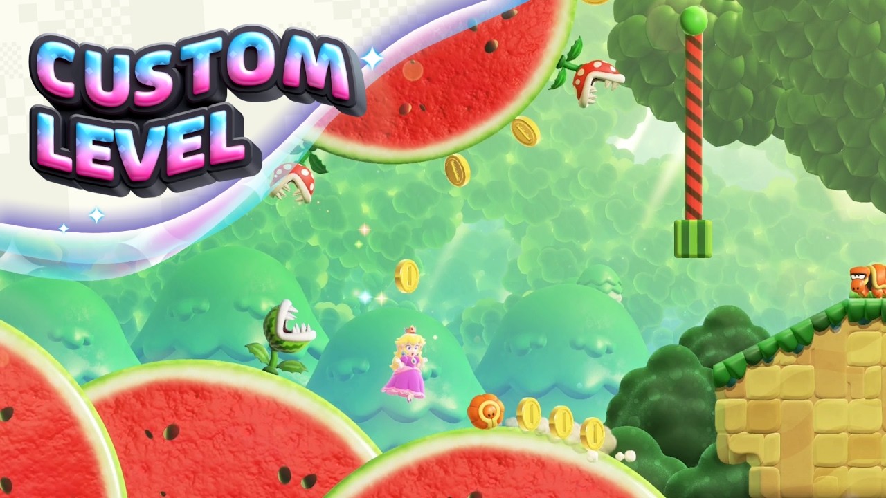 Super Mario Bros. Wonder Custom Level - 