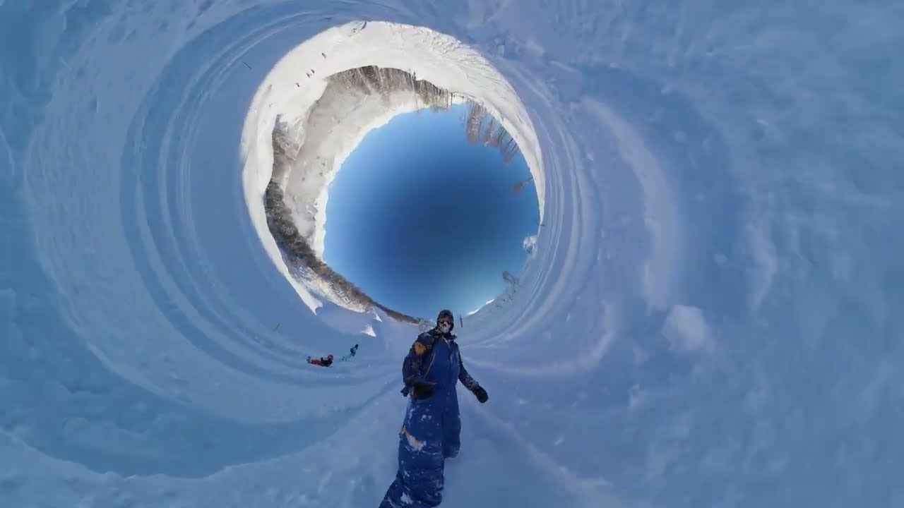 Барс в естественной среде обитания. Альпика 10.02.26.