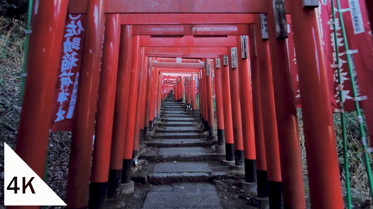 【4K】Kamakura Walk: Sasuke Inari and Shinen Peony Garden