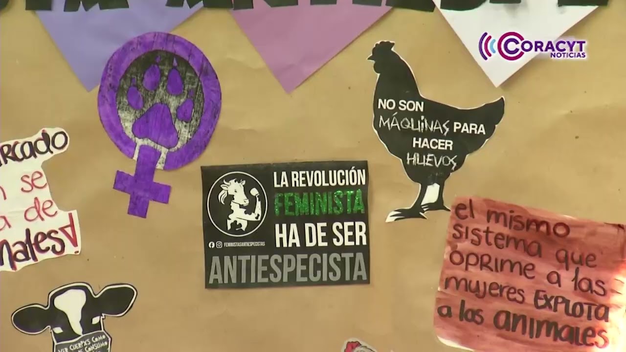 Mujeres de todas las edades participan en marcha por el 8M en Tlaxcala