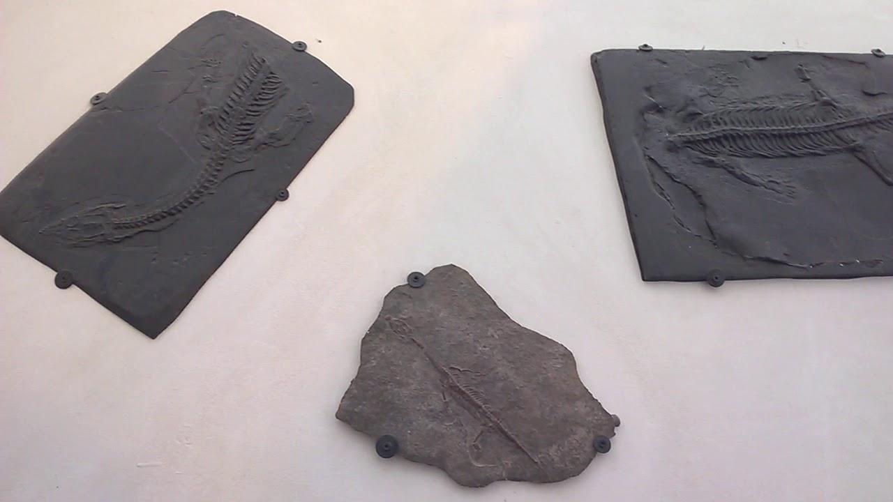 BARZIO - MUSEO 