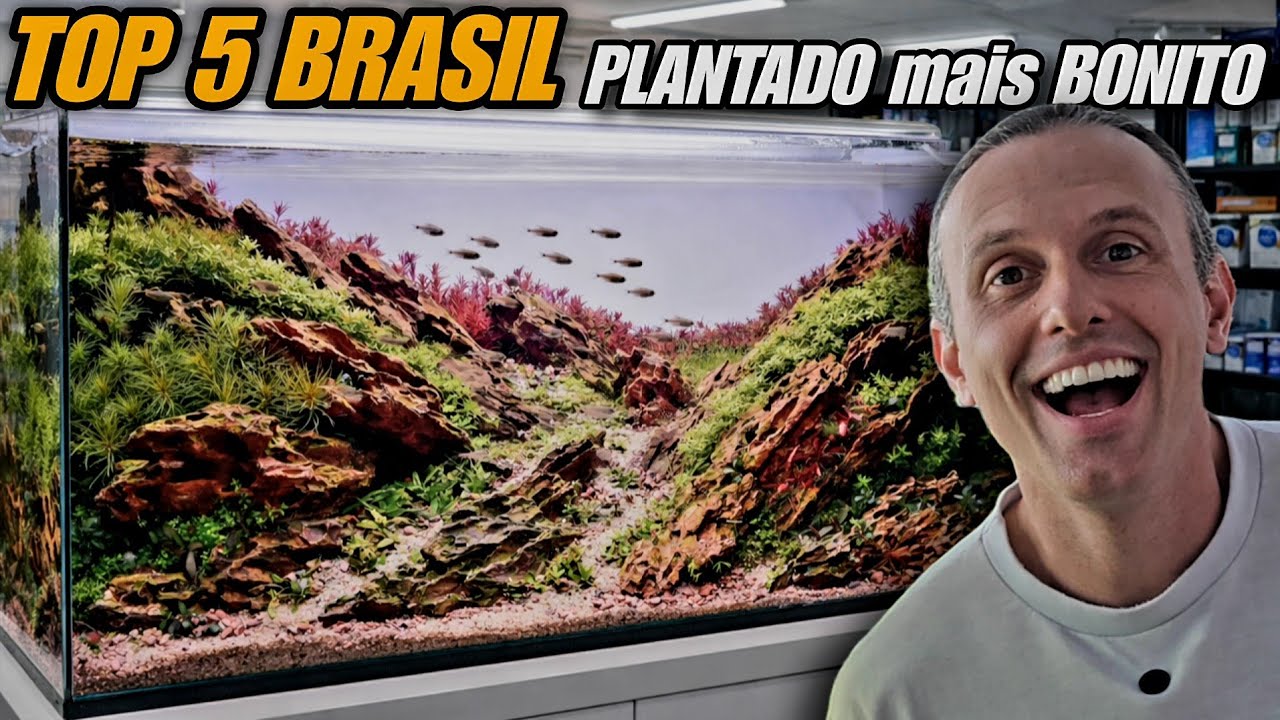 DIEGÃO MONTOU UM DOS AQUÁRIOS PLANTADOS MAIS BONITOS DO BRASIL EM 2025! - 5° LUGAR NO CBAP