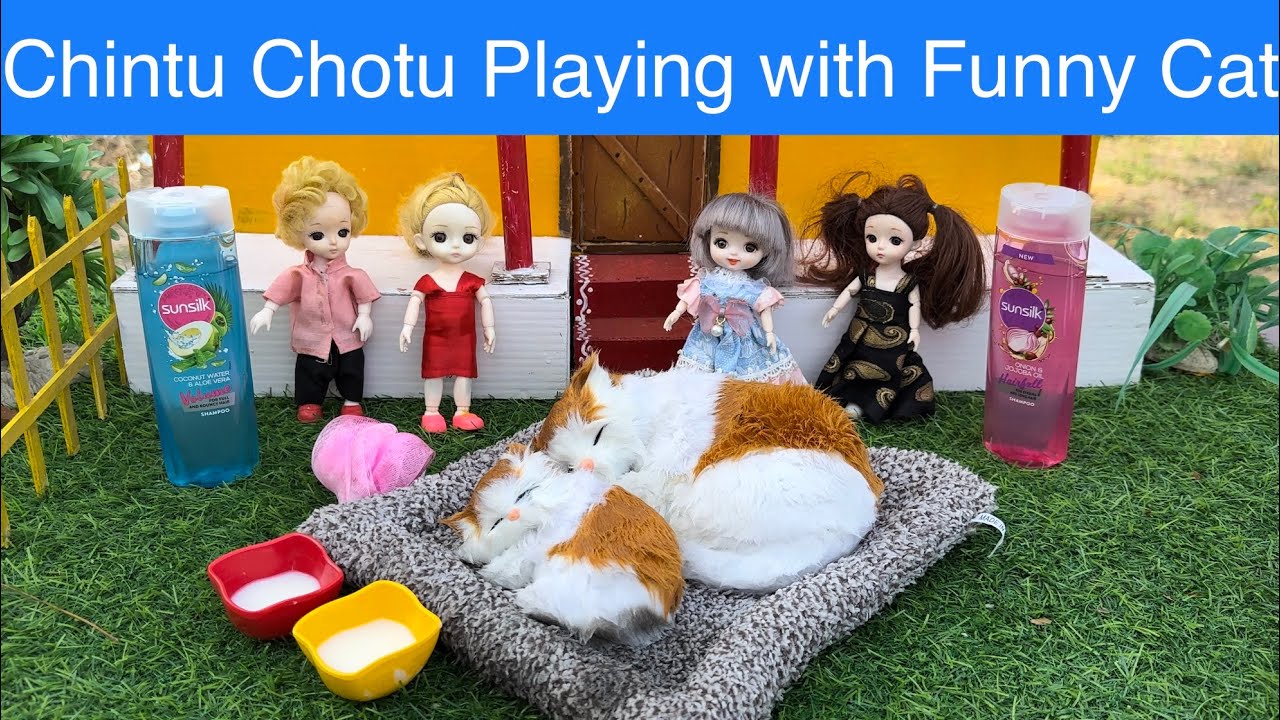 Chintu Chotu Playing with Funny Cat