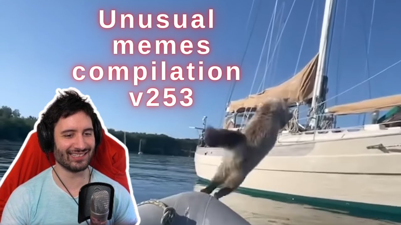 NymN reacts to unusual memes compilation v253
