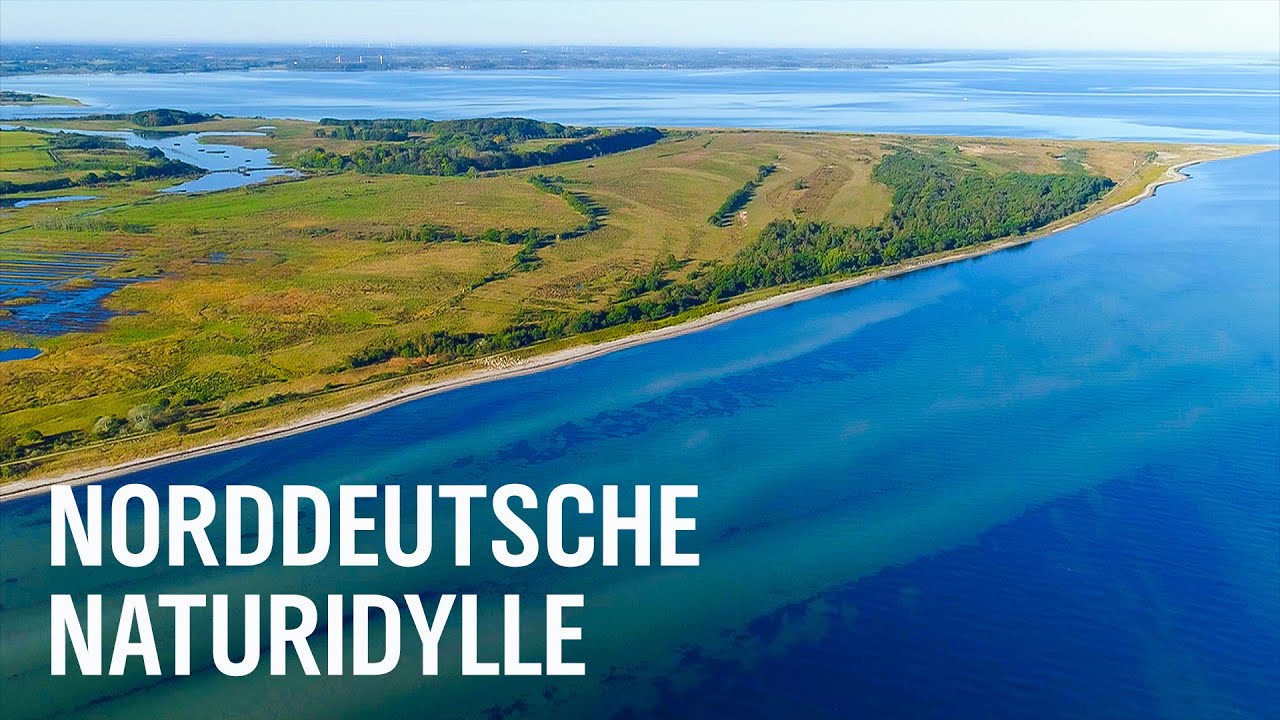 Lebensraum Geltinger Birk: Schutzgebiet im Norden Deutschlands | Erlebnis Erde