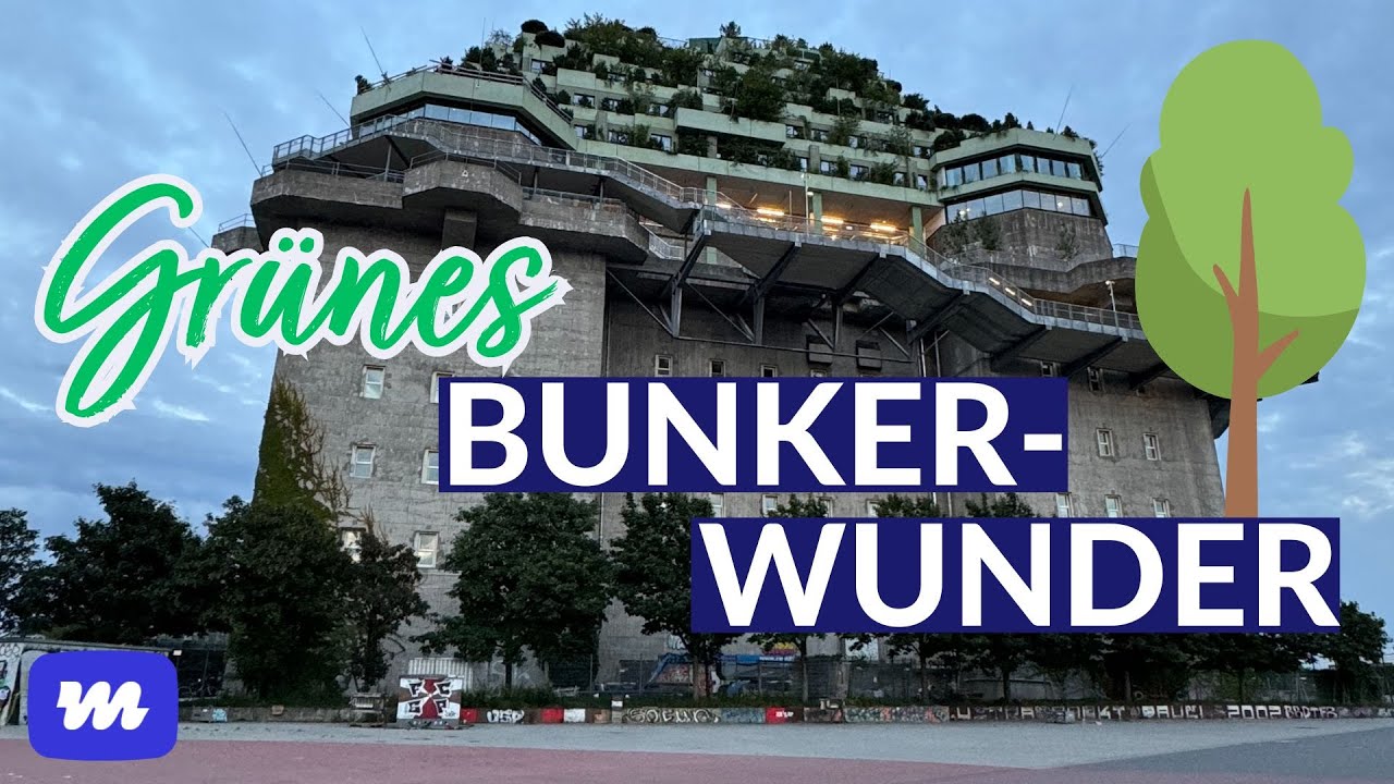 Neuer Hotspot! Live vom Grünen Bunker in Hamburg St. Pauli! 🌿🕌