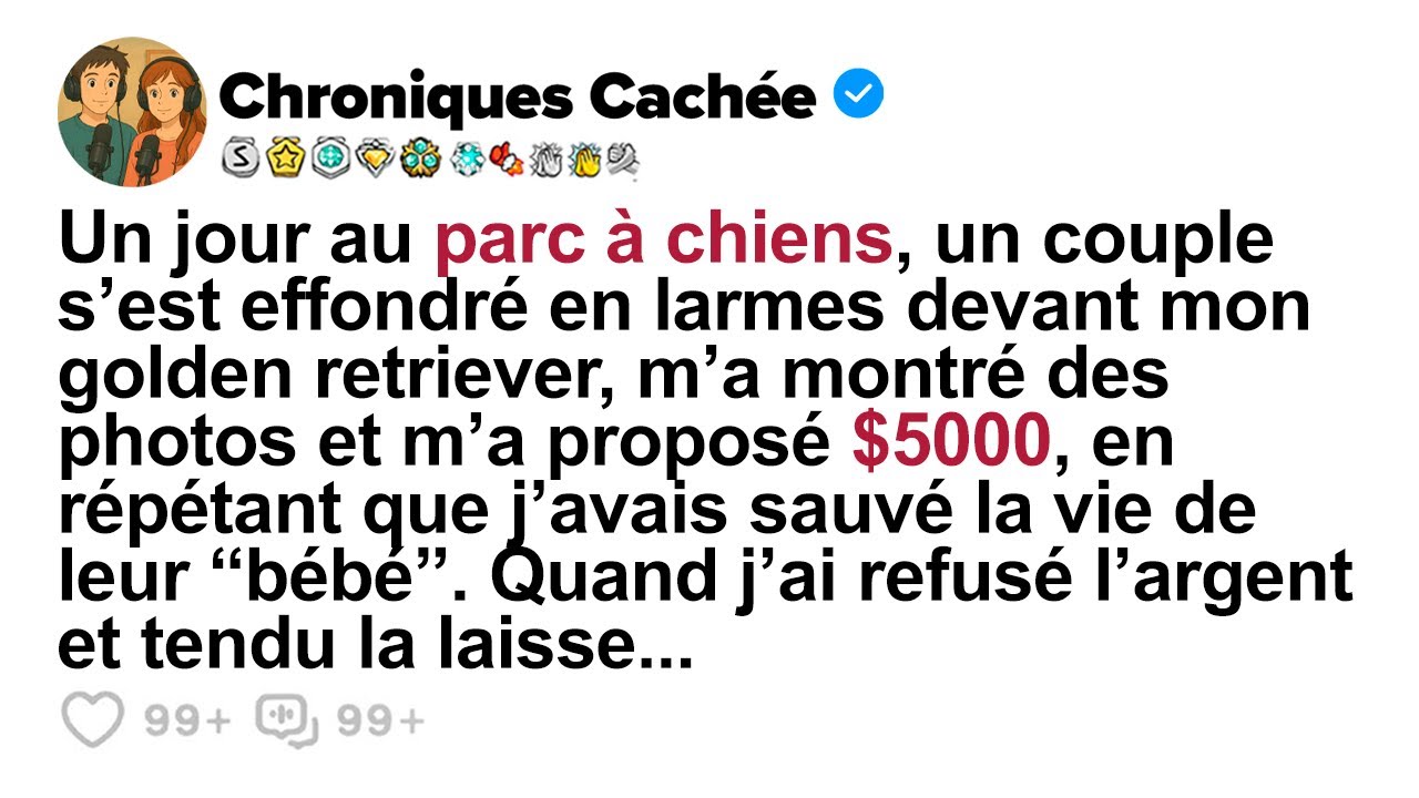 [HISTOIRE COMPLÈTE] Jusqu’où irais tu pour ton chien ?