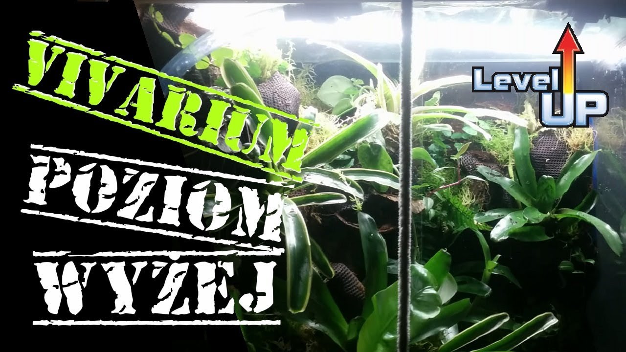 VIVARIUM na wyższym poziomie!