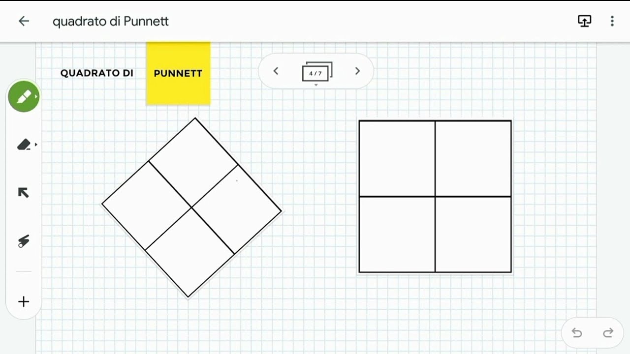 il quadrato di PUNNETT