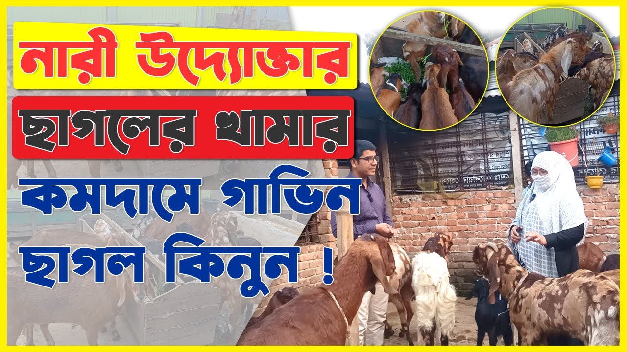 নারী উদ্যোক্তার ছাগলের খামার || সব খরচ বাদে ৪ লক্ষ টাকা লাভ || মাদার গোট ফার্ম ,গাজিপুর ||