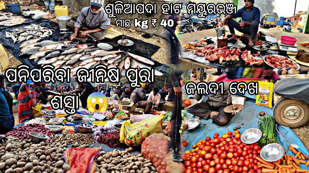 ବାରିପଦା ରୁ ୨୭ କିମି ଦୂର ପନିପରିବା ପୁରା ଶସ୍ତା 😱 ଶୀଘ୍ର ଦେଖ ମାଛ କେଜି ₹୪୦😱#odiavolg #hatavlog#vlogvideo