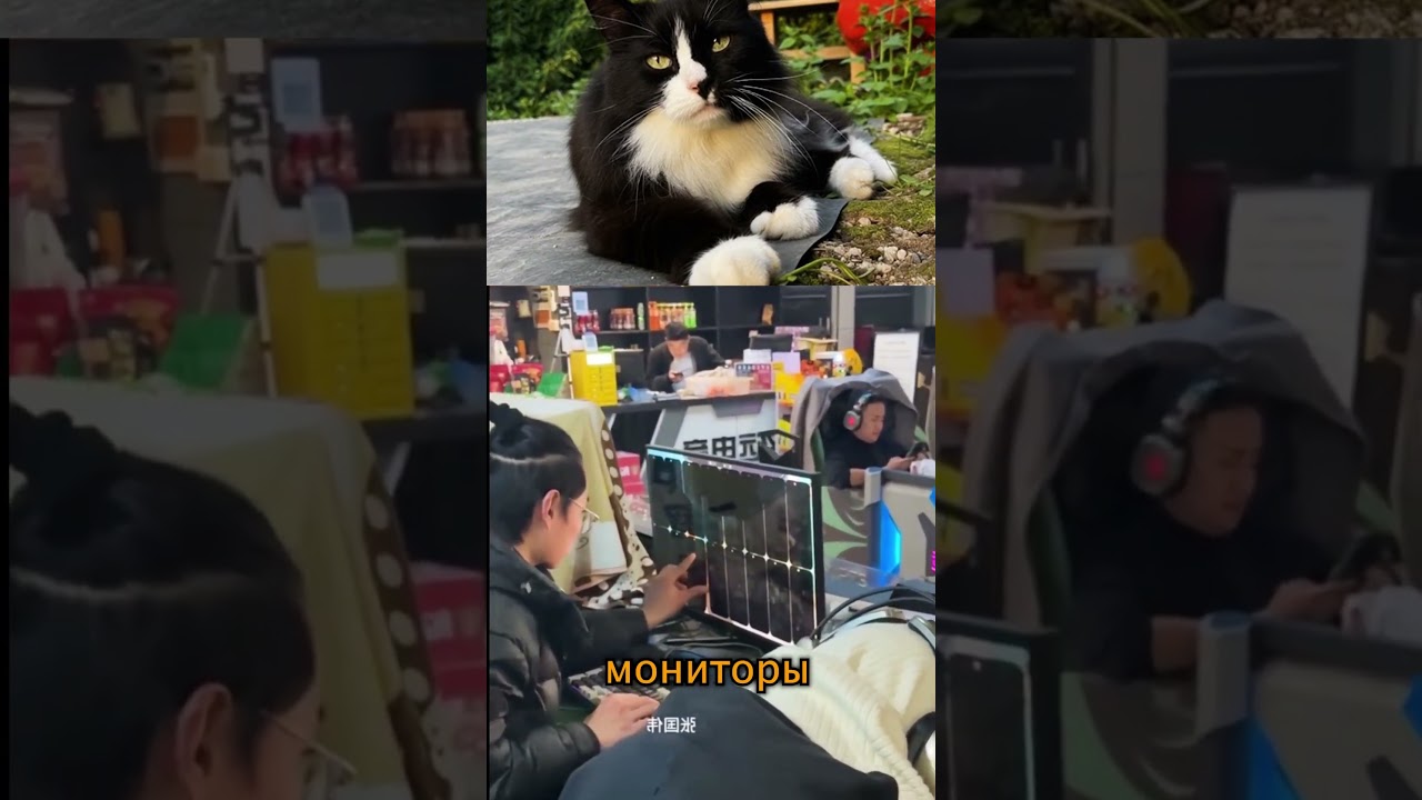 Самая странная защита монитора на турнире