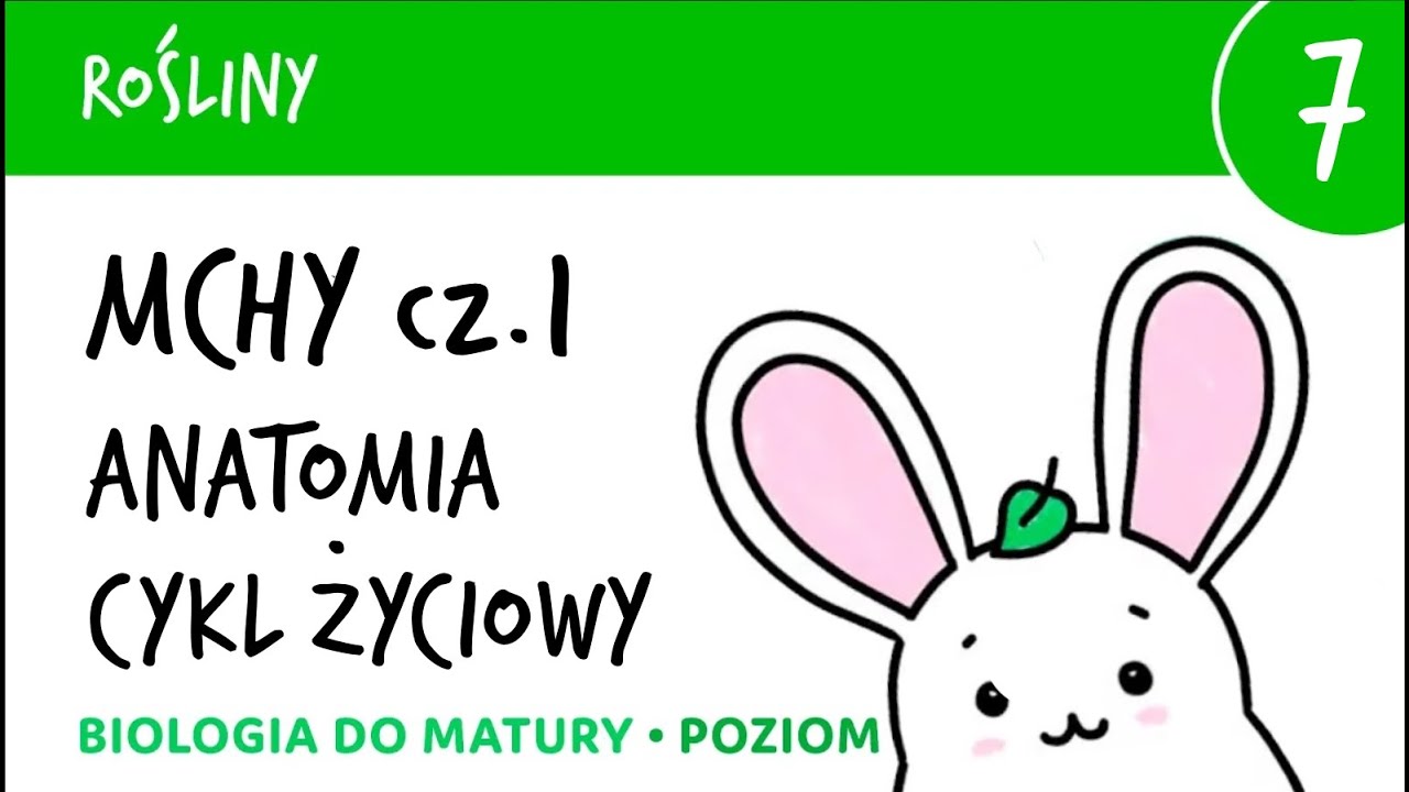 Rośliny 7 🌳Mchy cz.1 budowa, cykl życiowy, przemiana pokoleń - matura z biologii