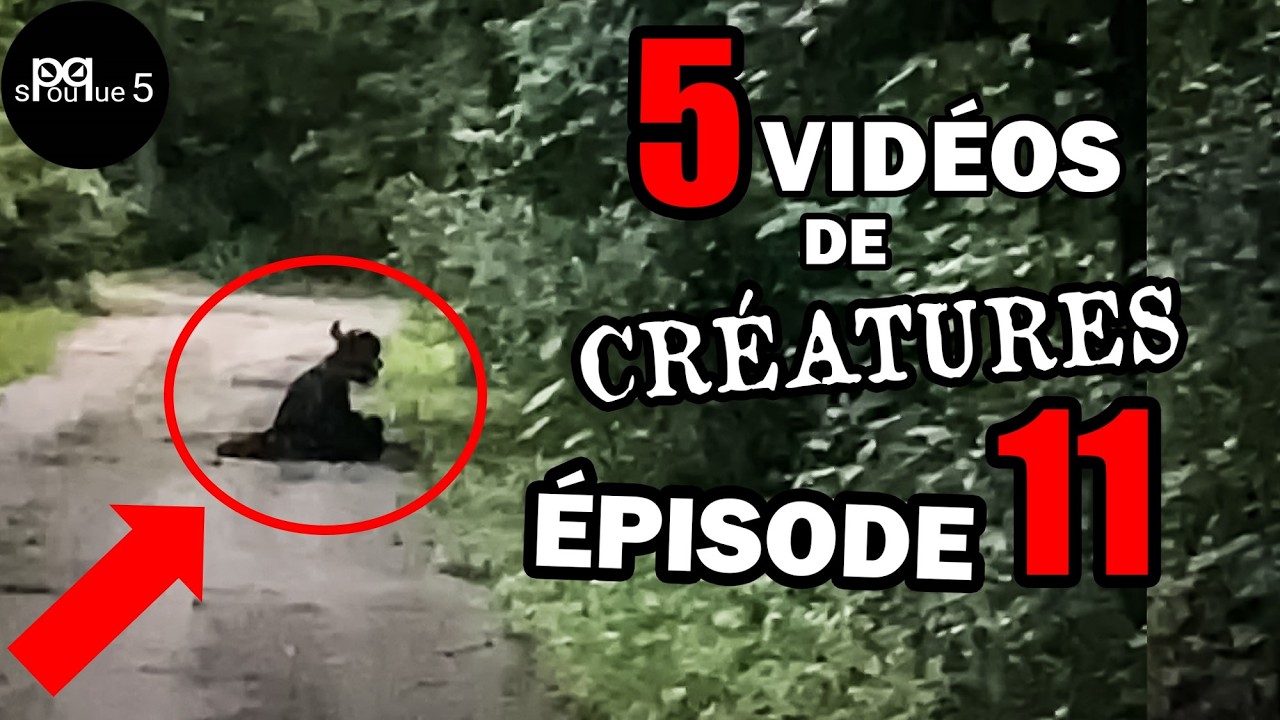 5 CRÉATURES qui ont été FILMÉ - Épisode 11