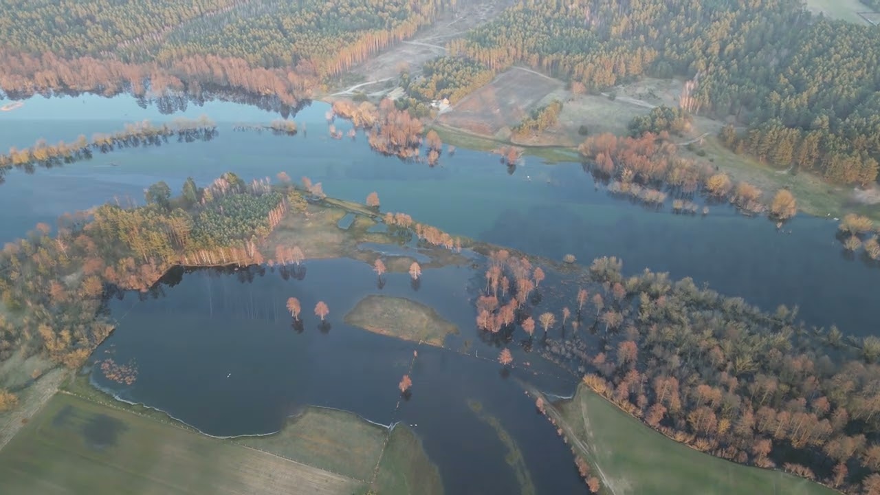 Rozlewiska rzeki Narew