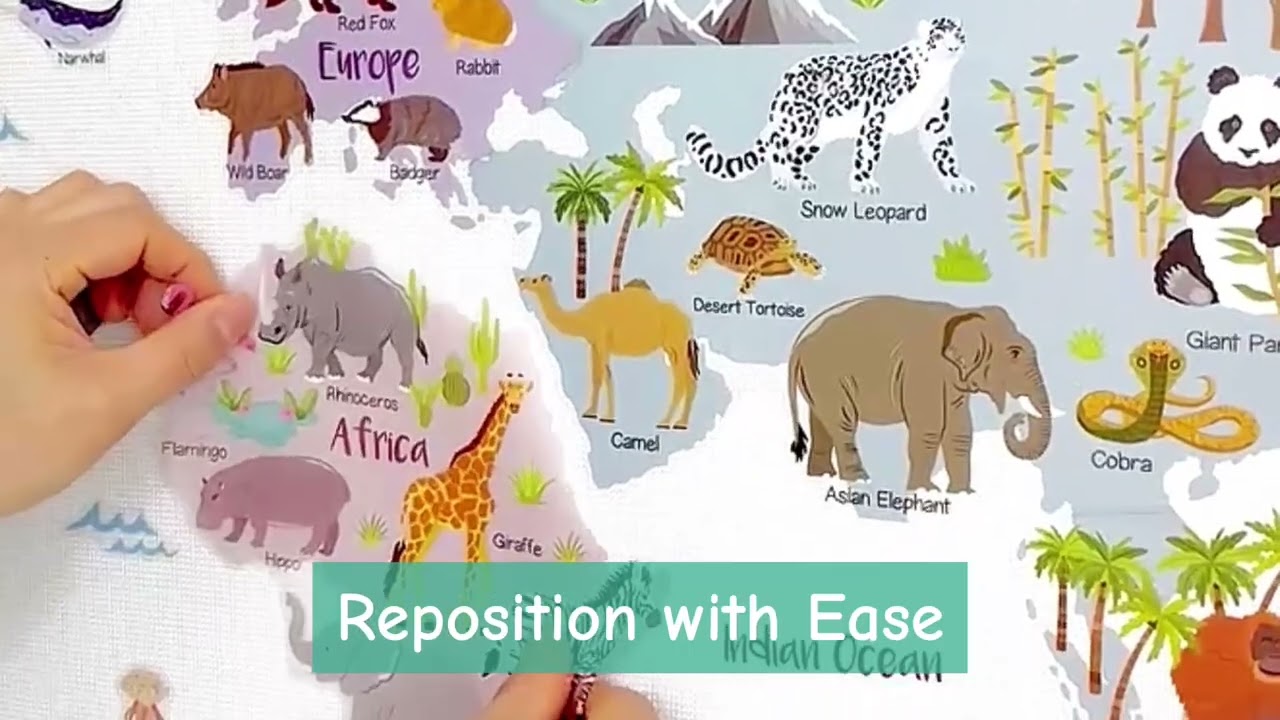 🌍 Welcome to a world of learning and fun with our DECOWALL World Map Wall Stickers! 🌟