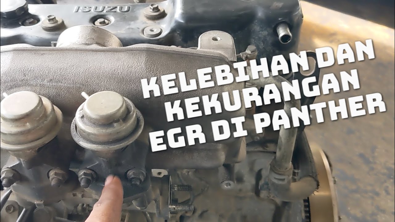 Kelebihan dan kekurangan panther yang pakai EGR