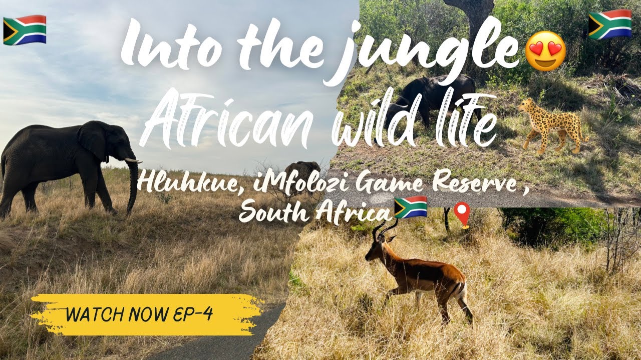 African Wild Life🐆, Hluhluw-iMfolozi Game Reserve | South Africa | EP-4 | In Hindi | Big 5 | Africa