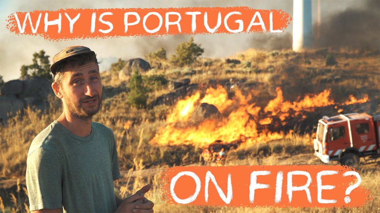 #55 We drove to fires and interviewed experts to understand the problem with wild fires in Portugal